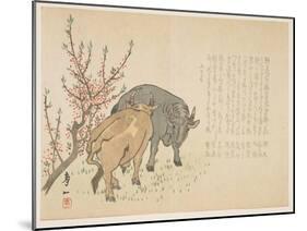 Oxen, January 1853-Yoshimura K?iitsu-Mounted Giclee Print