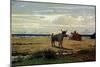 Oxen on Beach-Giuseppe Abbati-Mounted Giclee Print