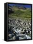 Oxendale Beck Below Crinkle Crags, Lake District National Park, Cumbria, England, United Kingdom-Maxwell Duncan-Framed Stretched Canvas