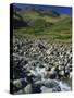 Oxendale Beck Below Crinkle Crags, Lake District National Park, Cumbria, England, United Kingdom-Maxwell Duncan-Stretched Canvas