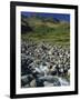 Oxendale Beck Below Crinkle Crags, Lake District National Park, Cumbria, England, United Kingdom-Maxwell Duncan-Framed Photographic Print