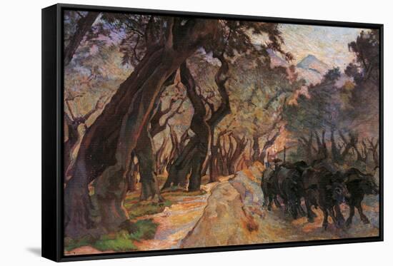 Oxes Among Olive Trees-null-Framed Stretched Canvas