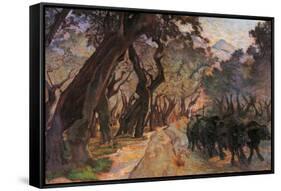 Oxes Among Olive Trees-null-Framed Stretched Canvas