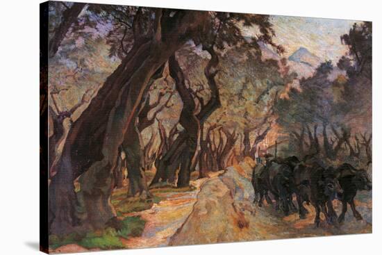 Oxes Among Olive Trees-null-Stretched Canvas