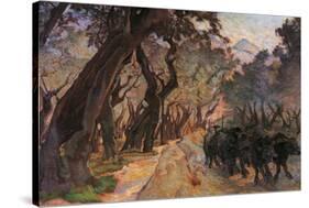 Oxes Among Olive Trees-null-Stretched Canvas