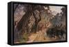 Oxes Among Olive Trees-null-Framed Stretched Canvas