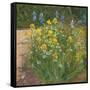 Oxeye Daisies Against the Irises-Timothy Easton-Framed Stretched Canvas