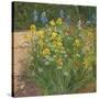 Oxeye Daisies Against the Irises-Timothy Easton-Stretched Canvas