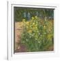 Oxeye Daisies Against the Irises-Timothy Easton-Framed Giclee Print