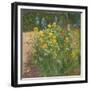 Oxeye Daisies Against the Irises-Timothy Easton-Framed Giclee Print