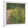 Oxeye Daisies Against the Irises-Timothy Easton-Framed Giclee Print