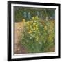 Oxeye Daisies Against the Irises-Timothy Easton-Framed Giclee Print