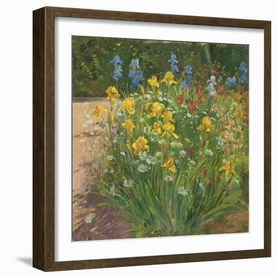 Oxeye Daisies Against the Irises-Timothy Easton-Framed Giclee Print