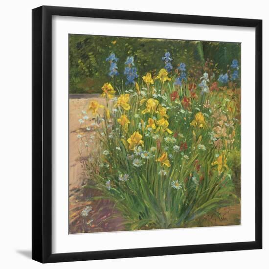 Oxeye Daisies Against the Irises-Timothy Easton-Framed Giclee Print