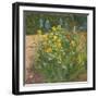 Oxeye Daisies Against the Irises-Timothy Easton-Framed Giclee Print