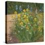 Oxeye Daisies Against the Irises-Timothy Easton-Stretched Canvas