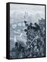 Oxford and Cambridge boat race by Doré-Gustave Dore-Framed Stretched Canvas