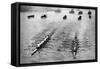 Oxford and Cambridge Boat Race, London, 1926-1927-null-Framed Stretched Canvas