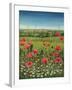Oxford / Poppies, 1983-Frances Broomfield-Framed Giclee Print