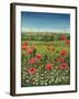 Oxford / Poppies, 1983-Frances Broomfield-Framed Giclee Print