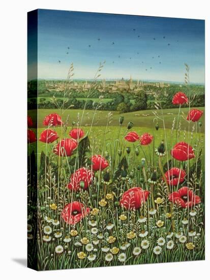 Oxford / Poppies, 1983-Frances Broomfield-Stretched Canvas