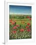 Oxford / Poppies, 1983-Frances Broomfield-Framed Giclee Print