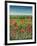 Oxford / Poppies, 1983-Frances Broomfield-Framed Giclee Print