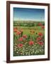 Oxford / Poppies, 1983-Frances Broomfield-Framed Giclee Print