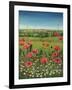 Oxford / Poppies, 1983-Frances Broomfield-Framed Giclee Print