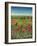 Oxford / Poppies, 1983-Frances Broomfield-Framed Giclee Print