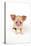 Oxford Sandy and Black Piglet on White Background-null-Stretched Canvas