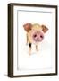Oxford Sandy and Black Piglet on White Background-null-Framed Photographic Print