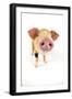 Oxford Sandy and Black Piglet on White Background-null-Framed Photographic Print