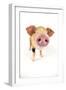 Oxford Sandy and Black Piglet on White Background-null-Framed Photographic Print