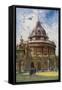 Oxford: the Radcliffe Camera-null-Framed Stretched Canvas