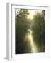 Oxford University Students Boating on Cherwell River, Oxford-Mark Kauffman-Framed Photographic Print