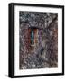 Oxford Vines-Steven Maxx-Framed Photographic Print