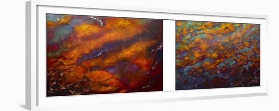 Oxidation 1 and II, 2016-Lee Campbell-Framed Giclee Print