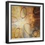 Oxide Burst I-Michael Marcon-Framed Art Print