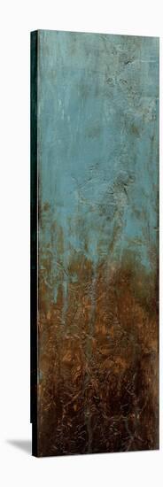 Oxidized Copper III-Jennifer Goldberger-Stretched Canvas
