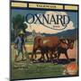 Oxnard Brand - Oxnard, California - Citrus Crate Label-Lantern Press-Mounted Art Print