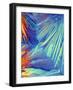 Oxytocin Crystals, Light Micrograph-PASIEKA-Framed Photographic Print