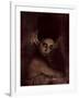 Oyozz-Fabio Panichi-Framed Photographic Print