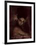 Oyozz-Fabio Panichi-Framed Photographic Print