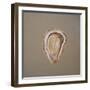 Oyster 1-Lincoln Seligman-Framed Giclee Print