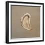 Oyster 2-Lincoln Seligman-Framed Giclee Print