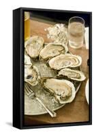 Oyster Bar at Grand Central Station-null-Framed Stretched Canvas