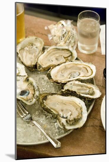 Oyster Bar at Grand Central Station-null-Mounted Photographic Print