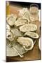 Oyster Bar at Grand Central Station-null-Mounted Photographic Print