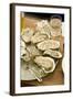 Oyster Bar at Grand Central Station-null-Framed Photographic Print